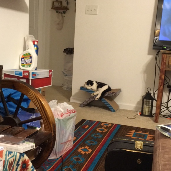 Meet your Posher, Comnie - Picture 1 of 1